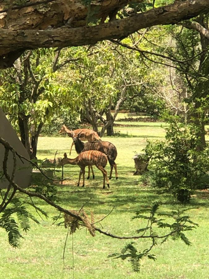 Jock Of The Bushveld Otel Barberton Dış mekan fotoğraf